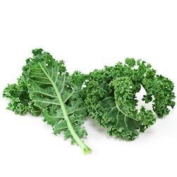 Kale Seeds