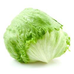 Lettuce (Iceberg) Seeds