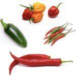 Hot Pepper Seeds